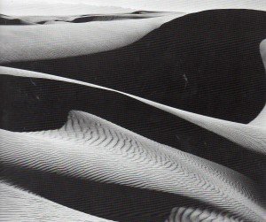 Edward Weston061
