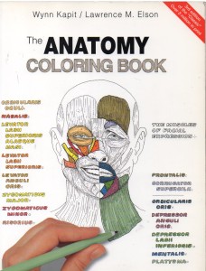 The anatomy coloring book356