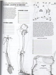 The anatomy coloring book359