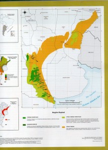 Atlas de los bosques nativos argentinos459